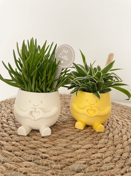 Happy plant - div kleuren