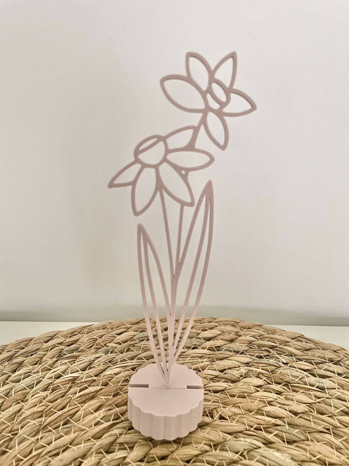 Geboortebloem December - Narcis