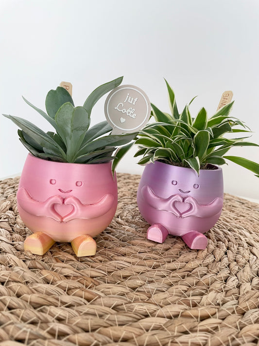 Happy plant - Limited Edition ‘Rainbow’