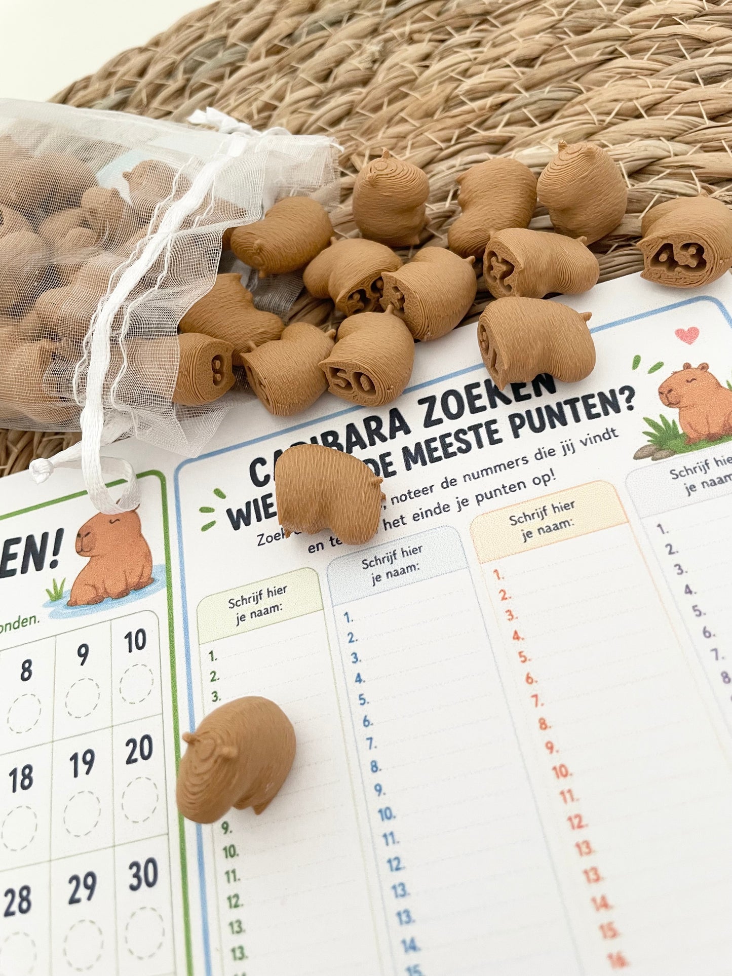 Zoek & Vind Mini Capibara’s