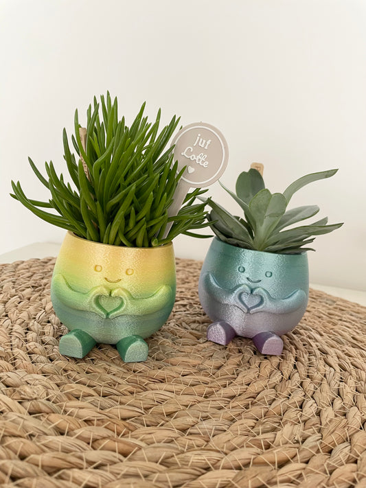 Happy plant - Limited Edition ‘Rainbow’