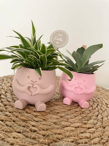 Happy plant - div kleuren