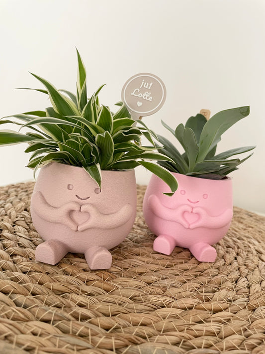 Happy plant - div kleuren