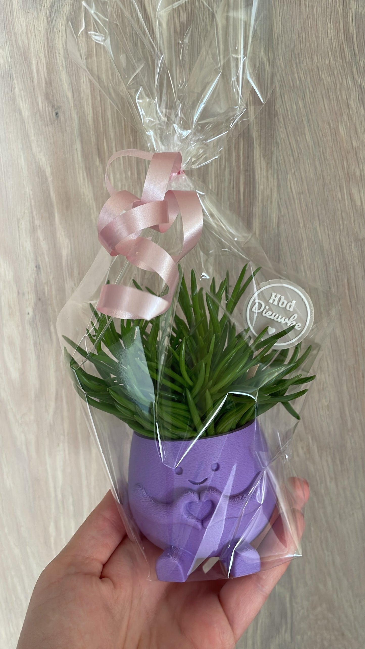 Happy plant - div kleuren