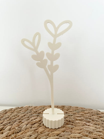Eucalyptus - Diverse kleuren