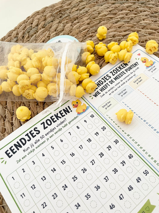 Zoek & Vind Mini Eendjes