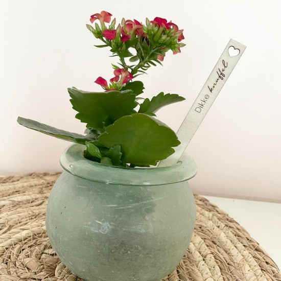 Prikker dikke knuffel