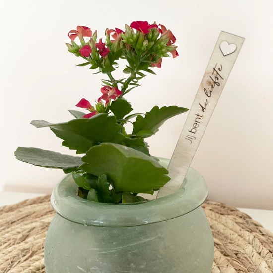 Prikker jij bent de liefste