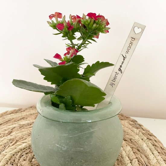 Prikker jij bent goud waard